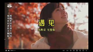 孙燕姿 Stefanie Sun 《遇见》/《Encounter》