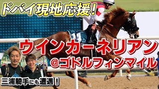 【一口馬主】ウインカーネリアン出走のゴドルフィンマイル2023を生観戦！三浦騎手に遭遇の奇跡！【節約大全】vol.1041