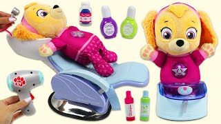 Paw Patrol Baby Skye Spa Day Hair Care & Nail Salon and Story Time with Disney Princess Imagine Ink!