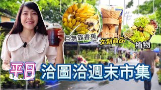 兩片葉子就要3千5百泰銖！曼谷 洽圖洽週末市集 Chatuchak 逛逛平日的植物市場 | 百麥 泰生活