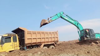 excavator loading truck, proyek truk \u0026 excavator galian tanah, mobil truk, truk tronton, truk tanah