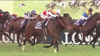 2015 日本盃 Japan Cup 湘南魔瓶 Shonan Pandora