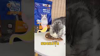 随机抽查网络热门猫粮！看看这款风很大的猫粮如何 #科学养宠 #豆柴猫粮  #猫咪 猫奴十三 #2