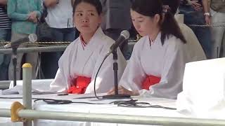 流鏑馬          鎌倉鶴岡八幡宮　２０１８年９月１６日