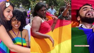 What is the History of section 377?