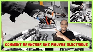 Comment brancher une pieuvre électrique facilement (Guide pratique étape par étape)