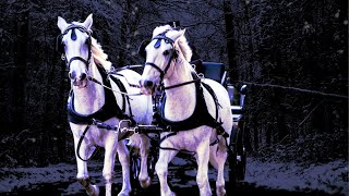 Carriage Ride Through Winter Storm |Horse Drawn Carriage Ambience