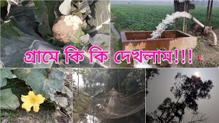 Gramer opurbo drissho | আমাদের গ্রাম | গ্রামে কি কি দেখলাম! | DF Media BD