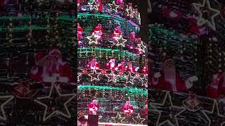 Dancing christmas tree🌲#Marinedrive Kochi #40th Cochin flower Show 2024