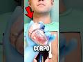 ECCO COME BATTE UN CUORE FUORI DAL CORPO 🫀😰 #shorts #viral #youtubeshorts