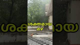 ശക്തമായ മഴ. എറണാകുളം ജില്ലയിലെ പിറവത്ത് (31/07/2024 08:47am) പെയ്തത്.