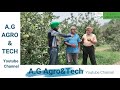 ਪੰਜਾਬ ਵਿੱਚ ਸੇਬ ਦੀ ਖੇਤੀ model farm kashmir apple cultivation in punjab dr.gurinder singh bajwa