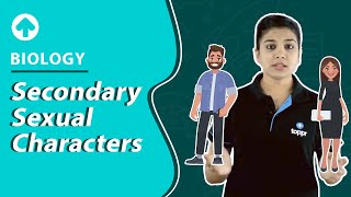 Secondary Sexual Characters | Biology