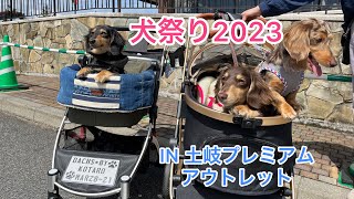 【ミニチュアダックス兄妹】犬祭り2023に行って来ました‼︎