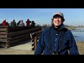 rare falcated duck drawing bird lovers to colusa