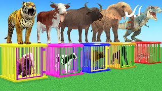 Cow Elephant Gorilla Dinosaur Choose The Right Iron Cage EAT FRUITS CHALLENGE Wild Animals Game