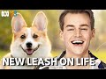 New Leash On Life | Coming To ABC In 2023 | ABC TV + iview