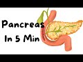 Pancreas- Everything You Need to Know in 5 min!