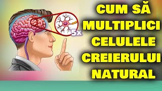 12 METODE SĂ-ȚI MULTIPLICI CELULELE CREIERULUI NATURAL