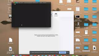 Shelter Pets - Flatiron School Ruby CLI Gem Portfolio Project (1)