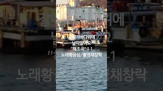 #갈매기바다위에날지말아요#해조곡1-1#채창락트롯쇼츠영상#쇼츠#shorts#채창락#향토가요방송#통합의학방송#암치유의학방송#의학방송TV#트롯#트로트#트롯쇼츠#쇼츠영상