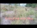 Hunting Rabbit Wild With Dogs in My Village, ដេញទន្សាយព្រៃ-By GoPro