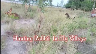 Hunting Rabbit Wild With Dogs in My Village, ដេញទន្សាយព្រៃ-By GoPro