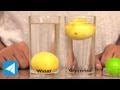 Lemon sinks in water but floats on Glycerine | Density | Physics