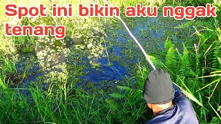 Bikin Gak Tenang Jiwa Mancing Ku Gara\