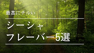 シーシャのフレーバーおすすめ5選