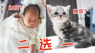 Can't keep a cat during pregnancy? Choose between cute baby and cute cat? Do not! all I want!