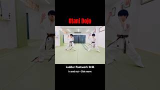 前後 + 横移動 - ラダーフットワーク・ドリル#大谷道場#kyokushin#karate #footwork#ladderdrills#shorts