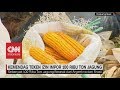 Kemendag Teken Izin Impor 100 Ribu Ton Jagung