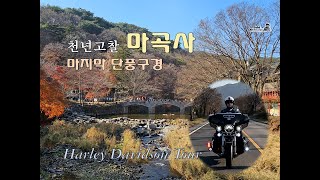 [할리데이비슨 투어] 공주 마곡사 I 마지막 단풍 구경 I 더덕구이 정식 I Gopro12 4K촬영