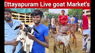 எட்டயபுரம் சனிக்கிழமை goat market Live சந்தை விலை நிலவரம்