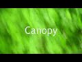 fotp vol.31 canopy