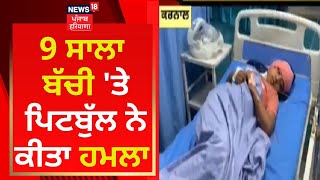 Karnal News : 9 ਸਾਲਾ ਬੱਚੀ 'ਤੇ ਪਿਟਬੁੱਲ ਨੇ ਕੀਤਾ ਹਮਲਾ | News18 Punjab