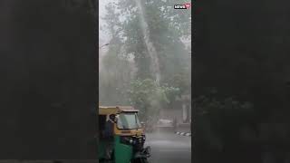 Viral Video | Weather News Today | Delhi Rains Today | #shorts | #trending | #viralvideos | #viral