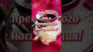 Всем хорошего дня🌹💖