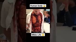 MBBS LIFE 😨🔥| HUMAN BODY DUMMY PROJECT 🌟| #doctor #shorts #viral #mbbs #anatomy