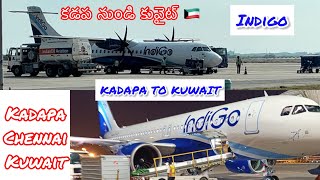 INDIGO | Kadapa 🇮🇳 to Kuwait 🇰🇼 | indigo ✈️ | Kadapa to Kuwait via Chennai | కడప నుండి కువైట్