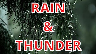 1 HOUR RAIN And THUNDER Sounds (2021) | Rain And Thunder sounds for Study and Relaxation