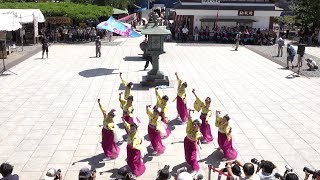 東京よさこい桜舞 @西新井大師よさこいフェスタ2018(境内奉納演舞) 2018-07-01T13:15