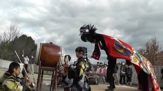 渡池獅子組　2024住吉神社元旦奉納獅子（曲）　香川県　丸亀市　Lion Dance