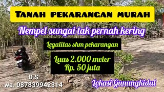 ❌terjual.....TANAH PEKARANGAN MURAH LUAS 2.000 METER HARGA 50 JUTA NEMPEL SUNGAI TAK PERNAH KERING