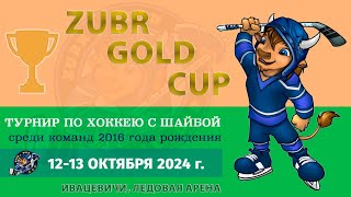 Пинск 1 - Лунинец 1. Хоккей, турнир ZUBR CUP среди команд 2016 г. | Ивацевичи |