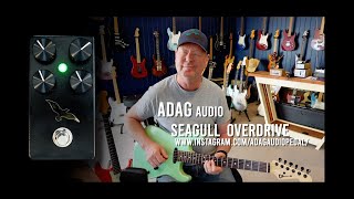 ADAG Audio: Seagull Overdrive