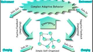 Complex adaptive system | Wikipedia audio article