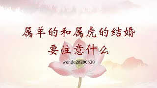 属羊的和属虎的结婚，要注意什么