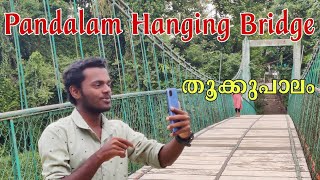 Pandalam Hanging Bridge ✨️| പന്തളത്തെ മനോഹരമായ തൂക്കുപാലം ✨️